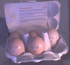 oeufs